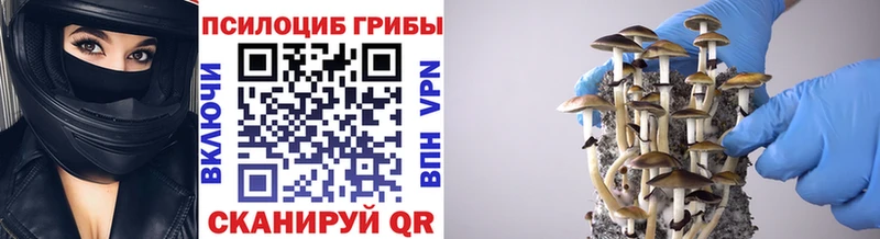 Галлюциногенные грибы прущие грибы  Карабулак 