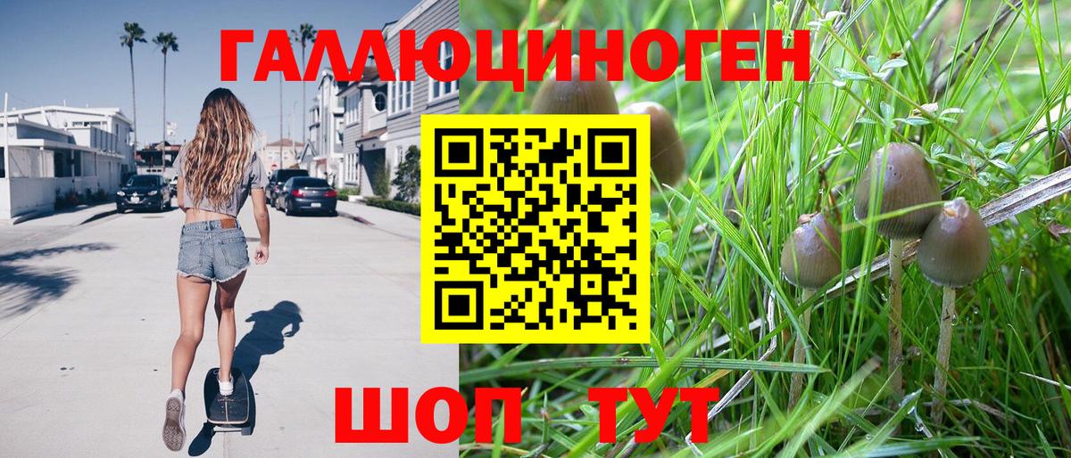 Карабулак  Галлюциногенные грибы мицелий  Вход с VPN 