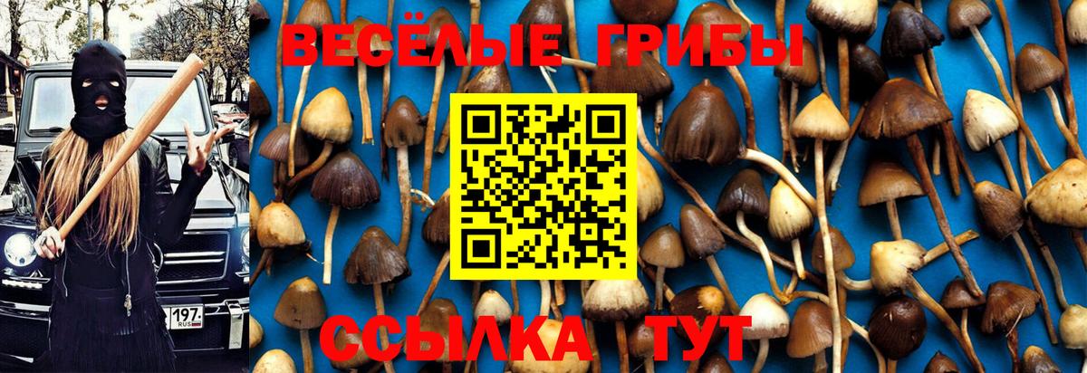 Галлюциногенные грибы ЛСД Карабулак